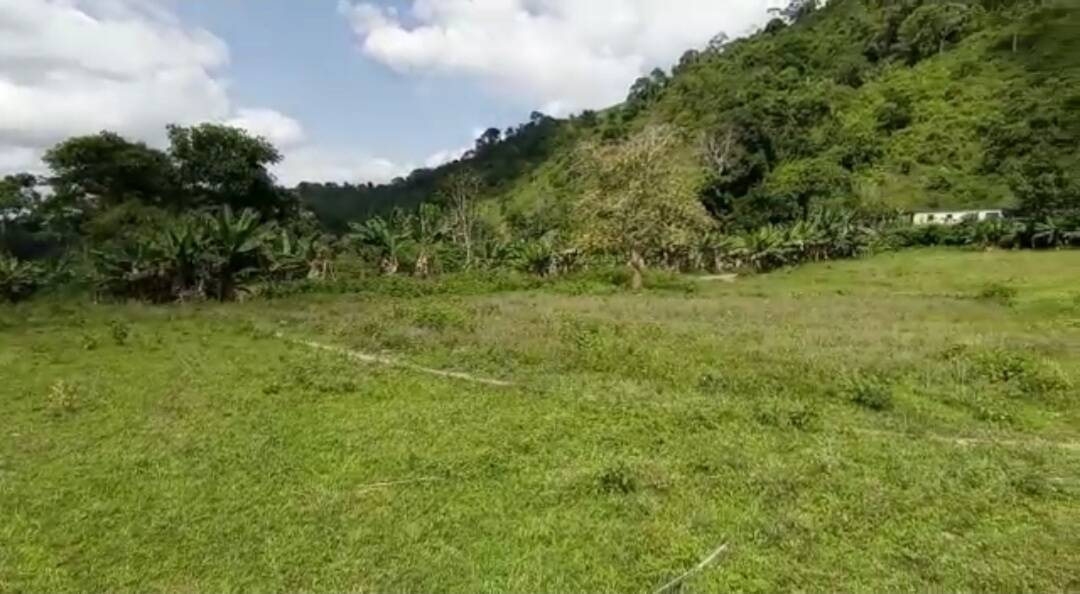 #2997 - TERRENO para Venta en Valera - T