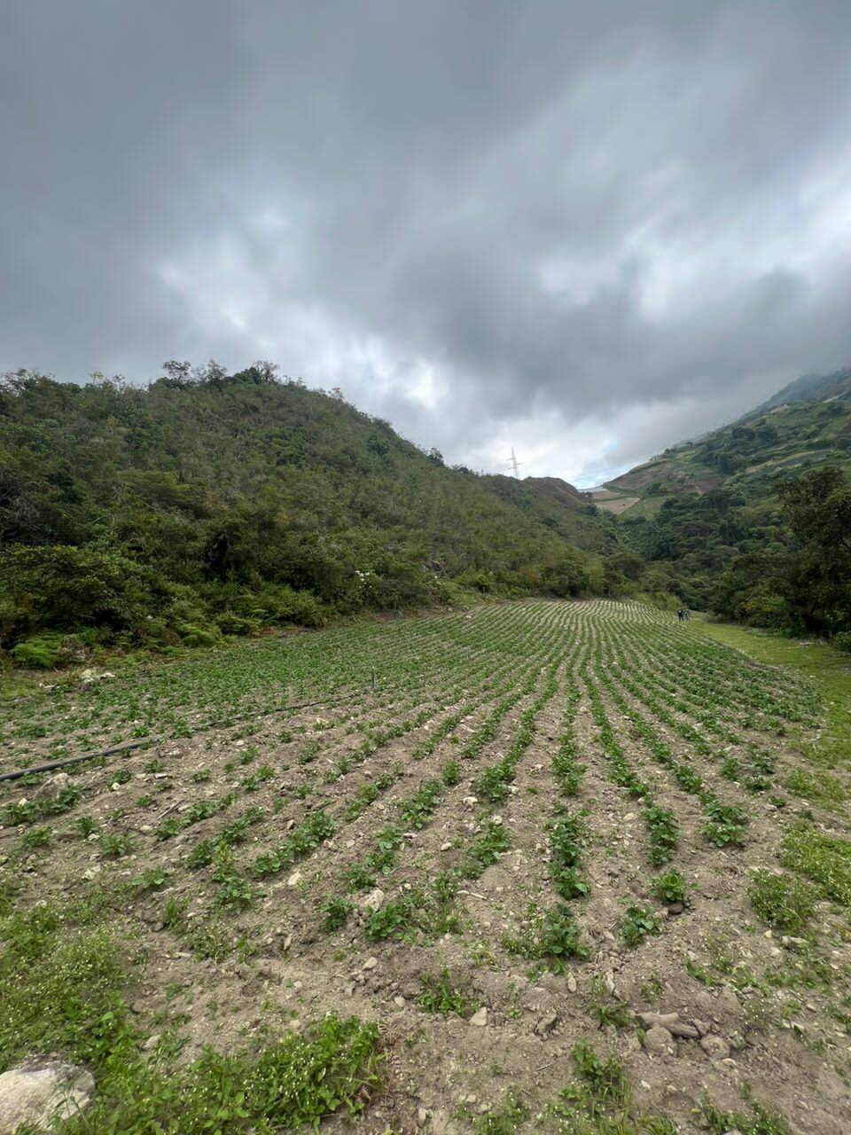 #5525 - GRANJA / FINCA para Venta en La Puerta - T