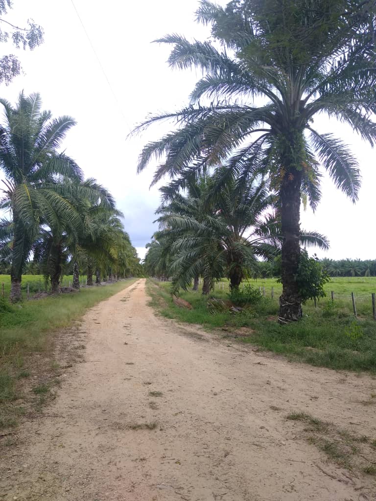 #5895 - HACIENDA para Venta en Machiques - V