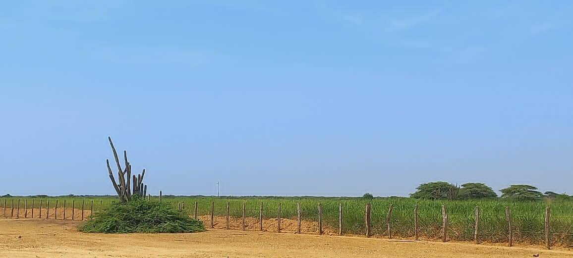 #0109 - GRANJA / FINCA para Venta en Mene de Mauroa - I