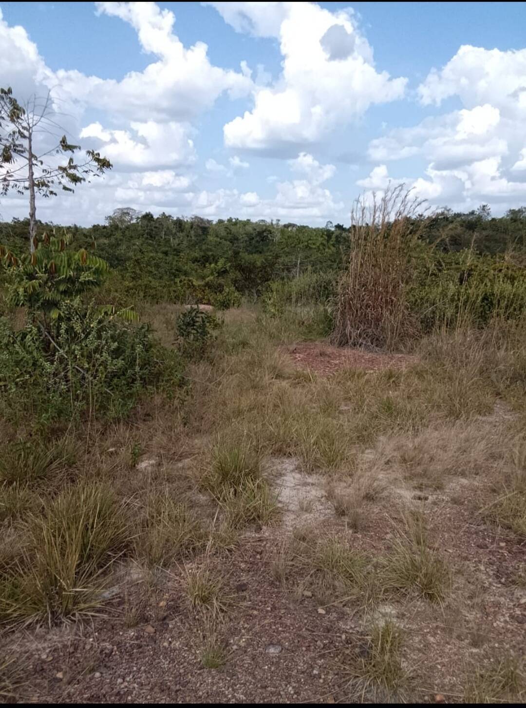#6743 - TERRENO para Venta en Machiques - V