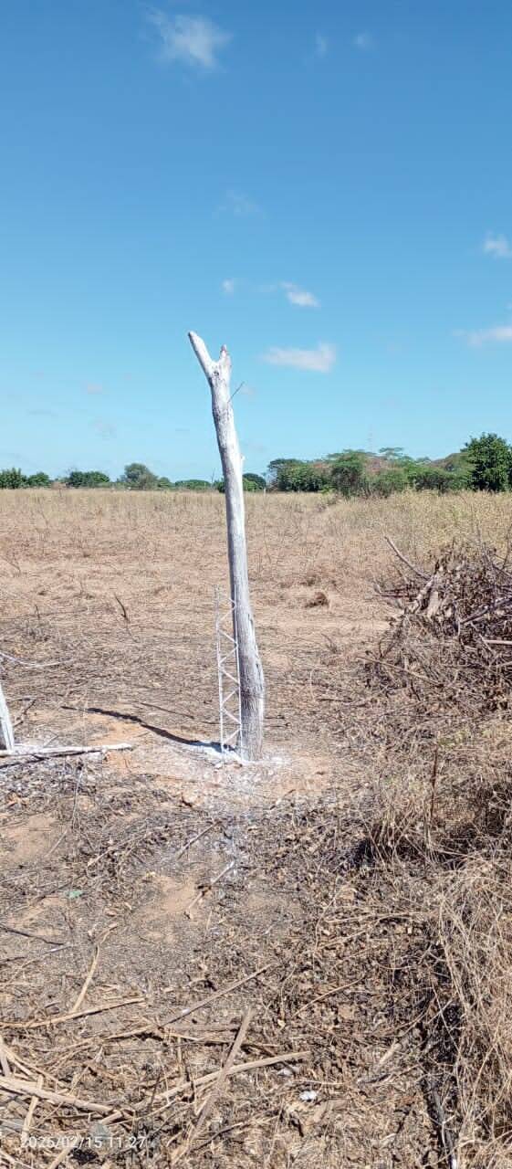 #6807 - TERRENO para Venta en Maracaibo - V