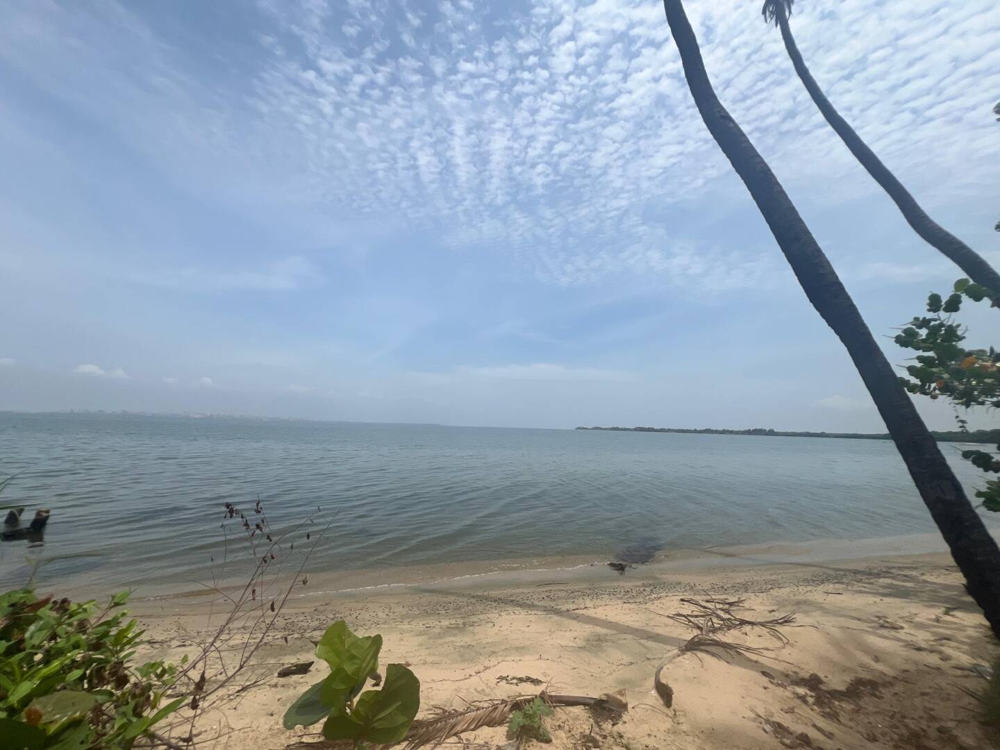 #7101 - CASA COMERCIAL para Venta en Los Puertos de Altagracia - V