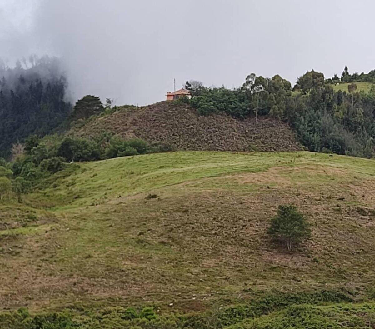 #7253 - GRANJA / FINCA para Venta en Trujillo - T