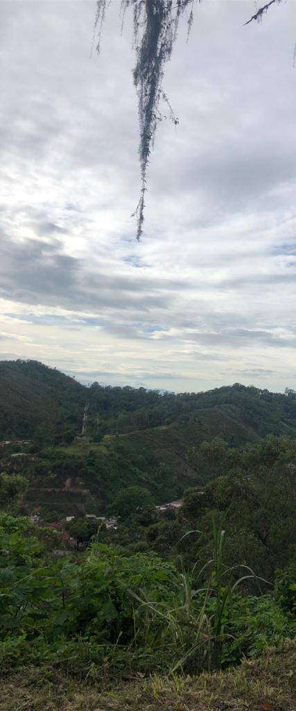 #7256 - TERRENO para Venta en Los Teques - M