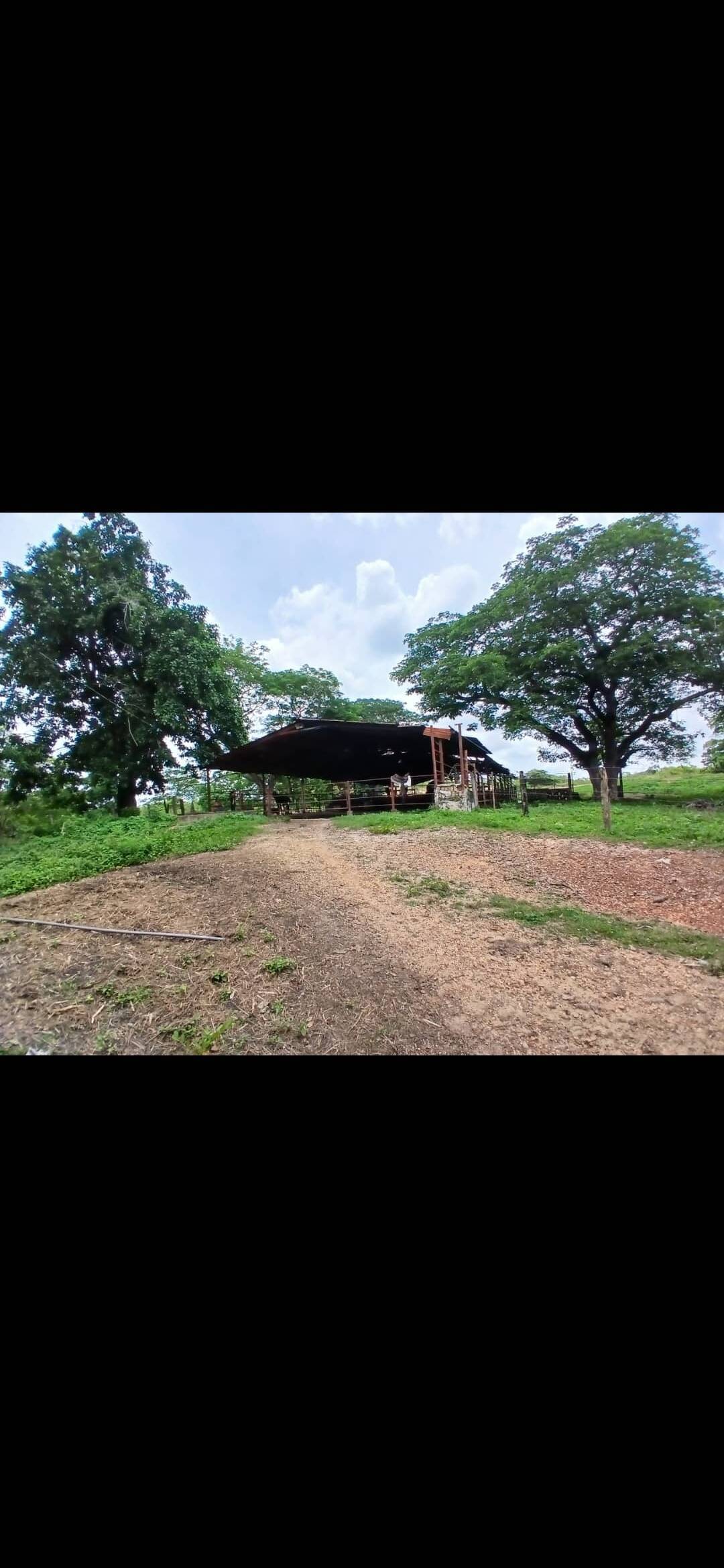 #7282 - GRANJA / FINCA para Venta en Machiques - V