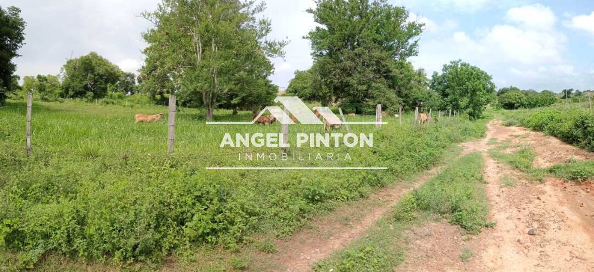 #7644 - GRANJA / FINCA para Venta en Machiques - V