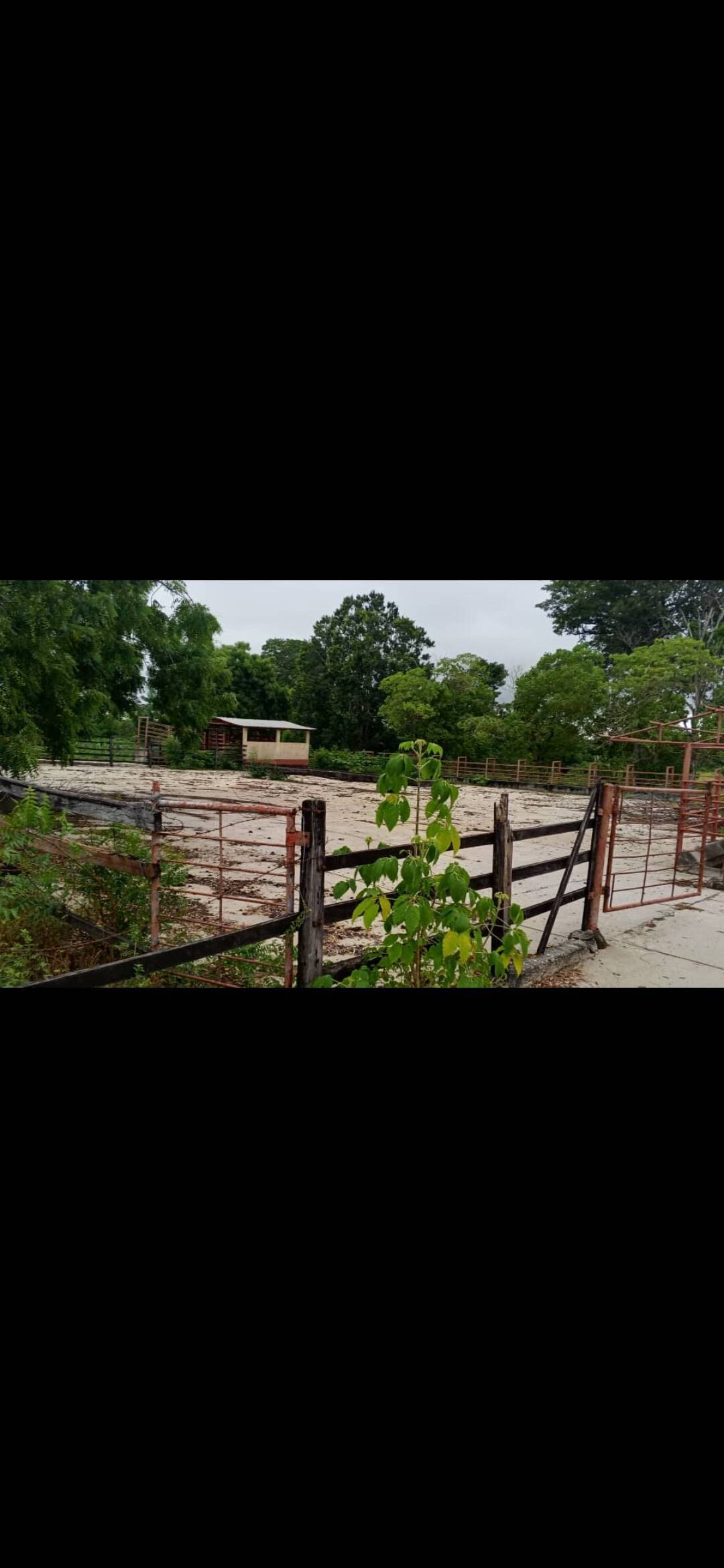 #78071 - HACIENDA para Venta en Machiques - V