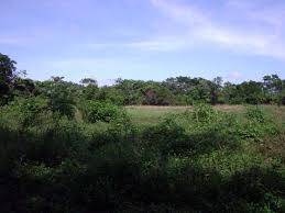 #7807 - TERRENO para Venta en Los Puertos de Altagracia - V