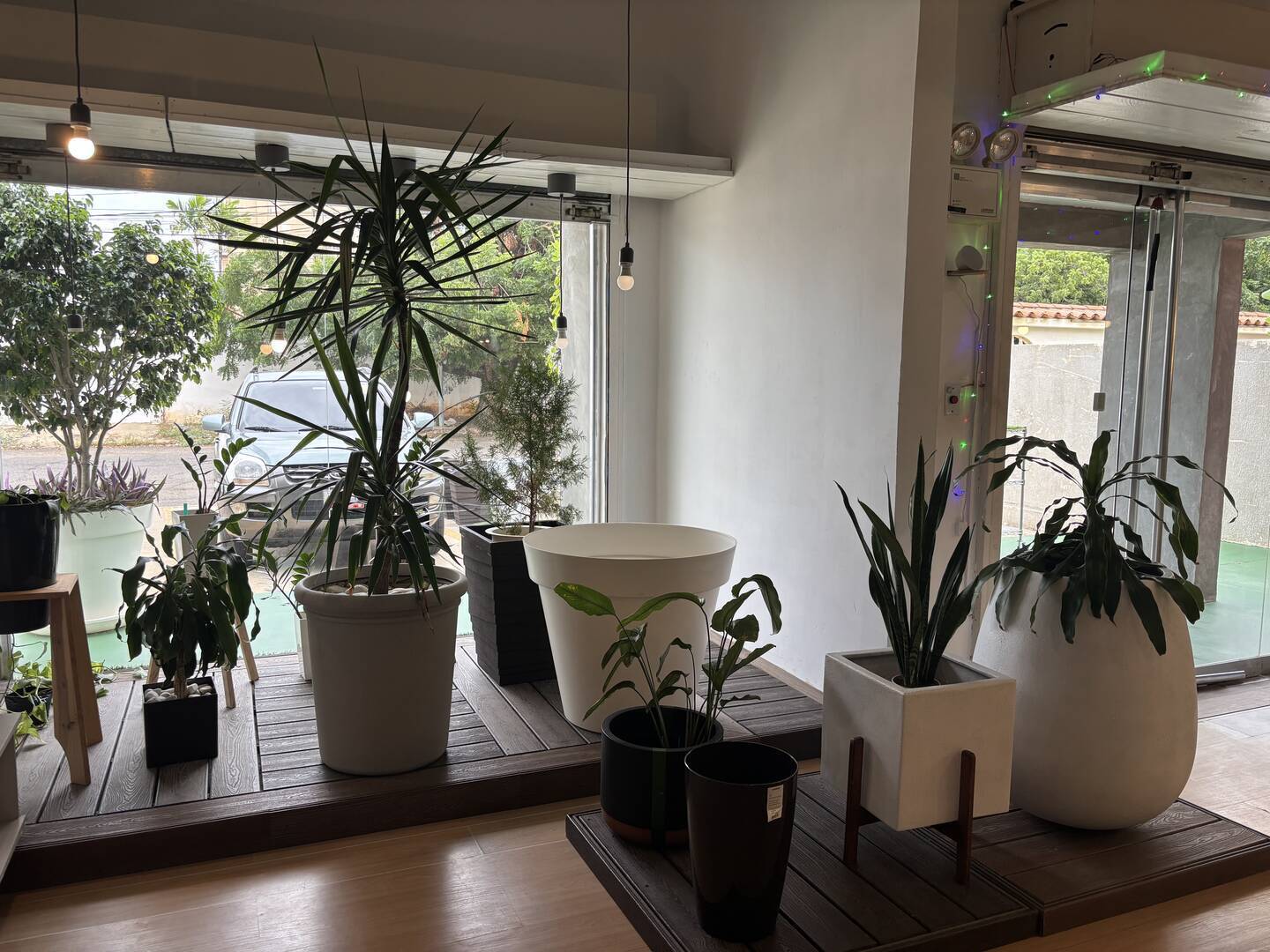 #8257 - LOCAL COMERCIAL para Venta en Maracaibo - V