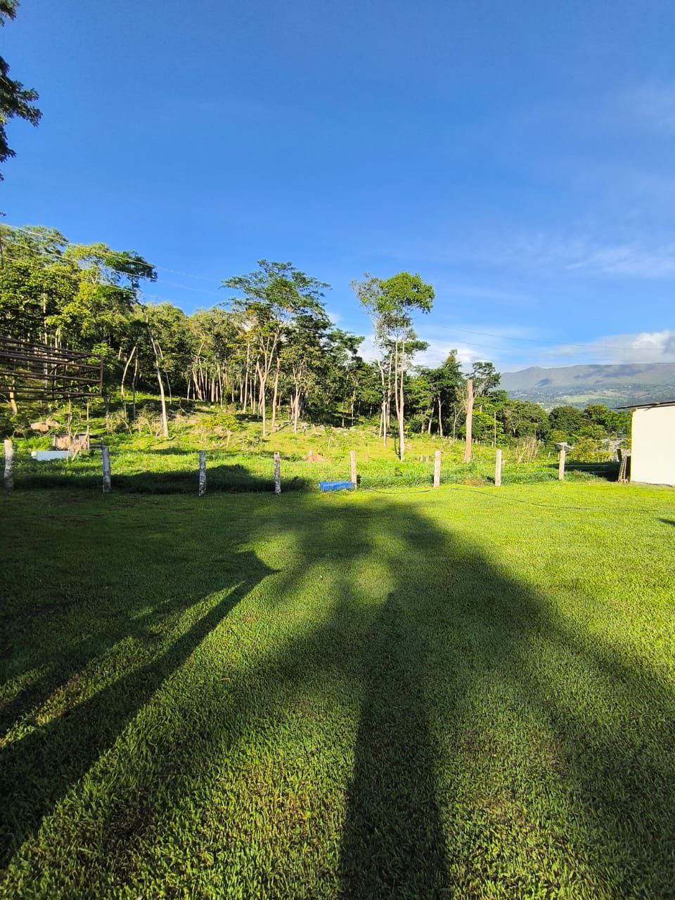 #8360 - GRANJA / FINCA para Venta en Valera - T