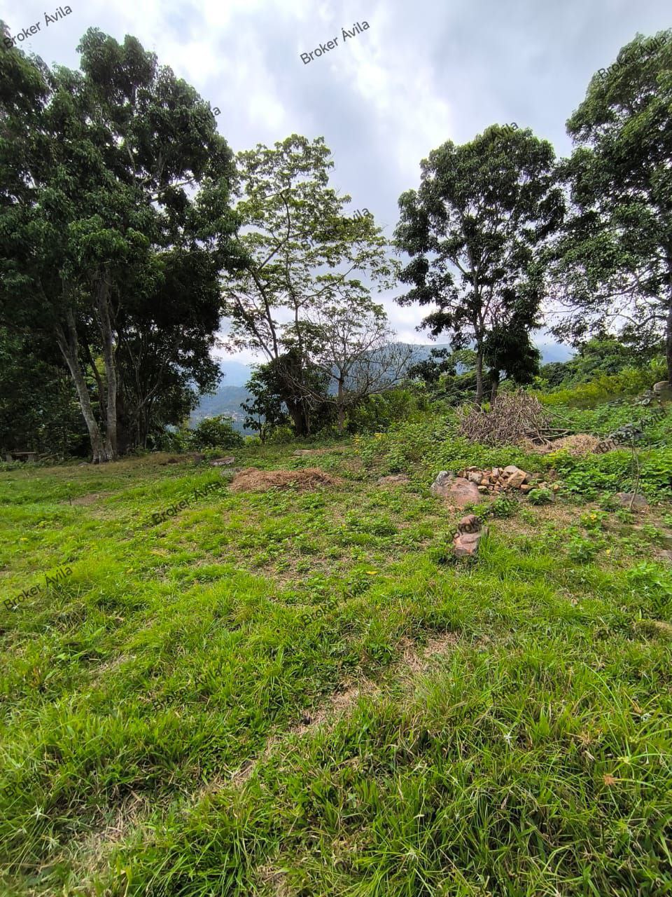 #8362 - GRANJA / FINCA para Venta en Valera - T