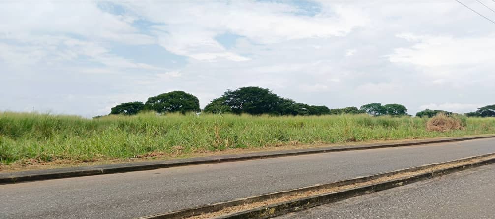 #8517 - TERRENO para Venta en Acarigua - P