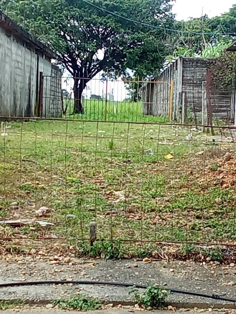 #8518 - TERRENO para Venta en Acarigua - P