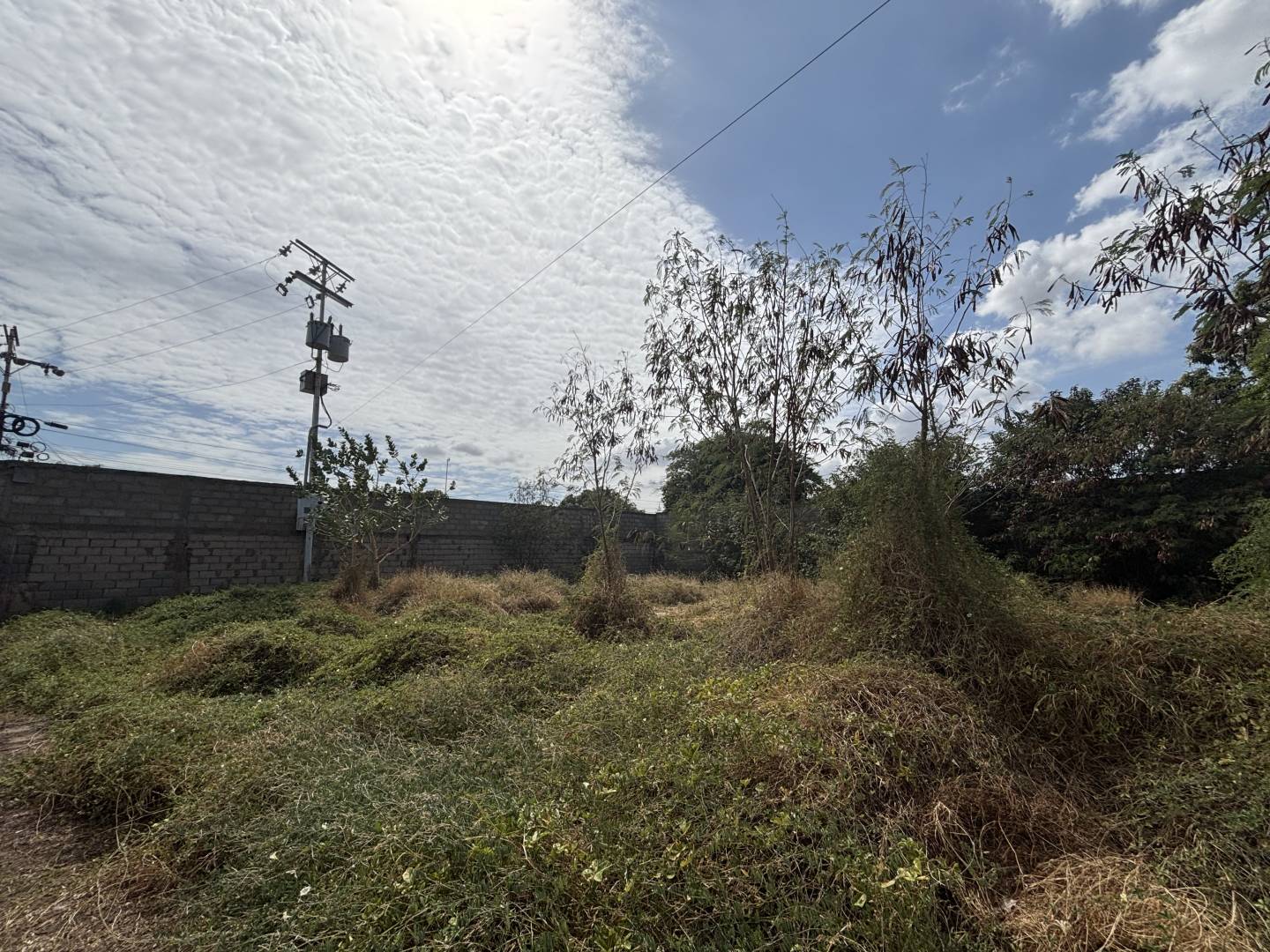 #7064 - TERRENO para Venta en San Francisco - V