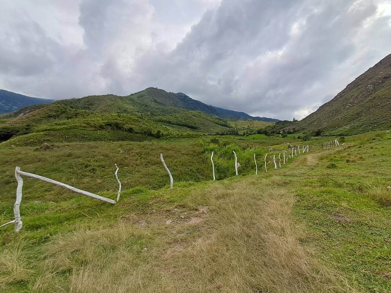 #9024 - GRANJA / FINCA para Venta en Valera - T