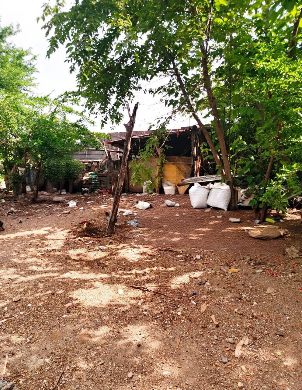 #9364 - TERRENO para Venta en Acarigua - P