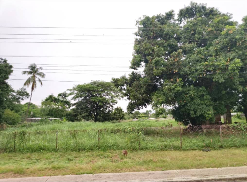 #94786 - TERRENO para Venta en Acarigua - P