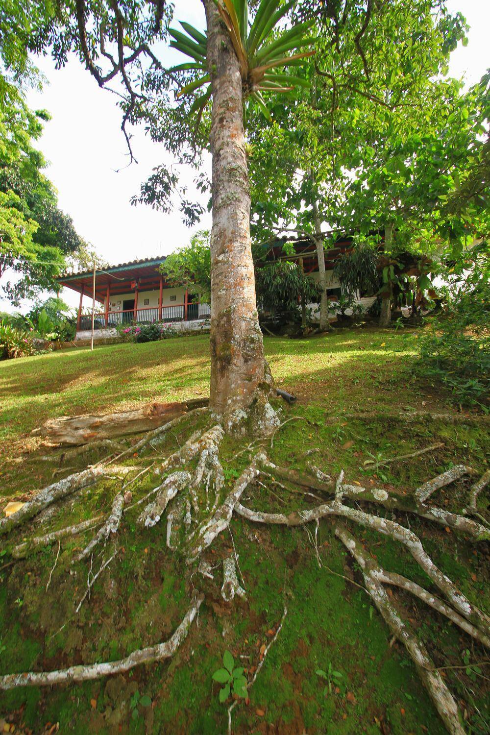 #9581 - GRANJA / FINCA para Venta en Cali - VAC