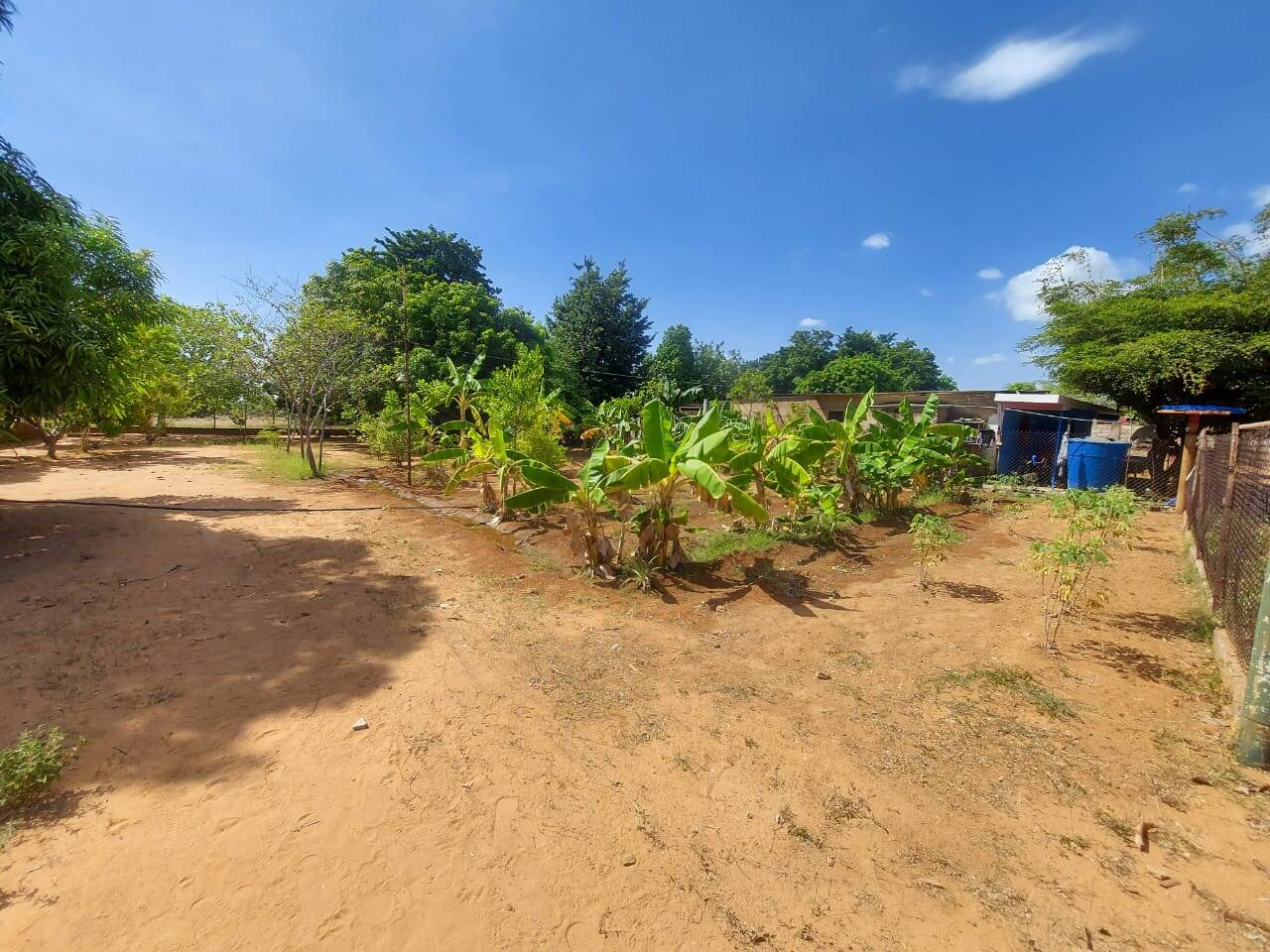 #96531 - GRANJA / FINCA para Venta en San Francisco - V