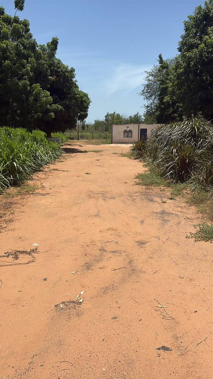 #10160 - TERRENO para Venta en Maracaibo - V