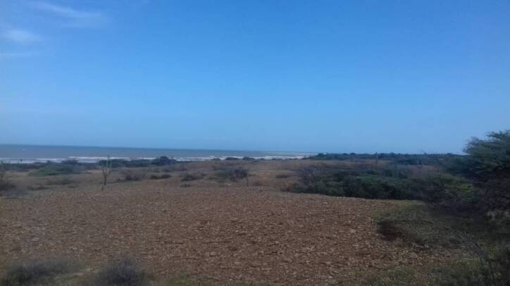 #977 - TERRENO para Venta en Capatárida - I