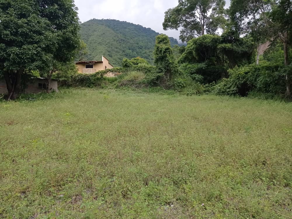 #3527 - TERRENO para Venta en Valera - T