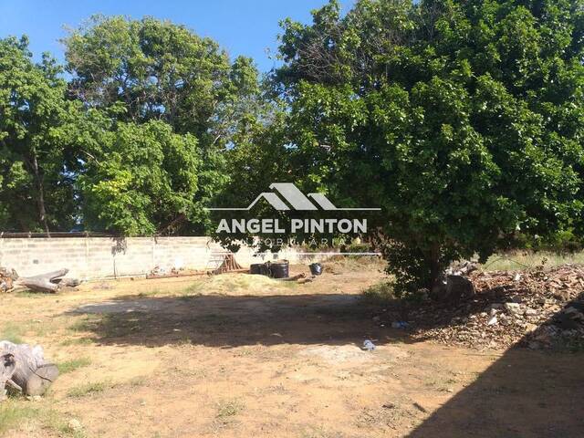 #8089 - TERRENO para Venta en San Francisco - V