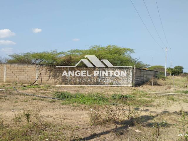 #9181 - GRANJA / FINCA para Venta en San Francisco - V - 3