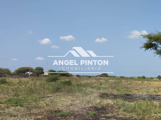 #9181 - GRANJA / FINCA para Venta en San Francisco - V - 1