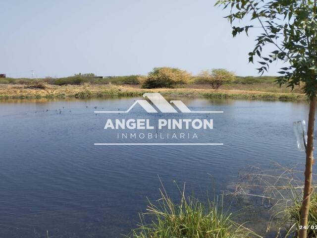 #9181 - GRANJA / FINCA para Venta en San Francisco - V - 2