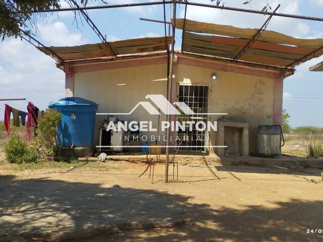 #9181 - GRANJA / FINCA para Venta en San Francisco - V - 3