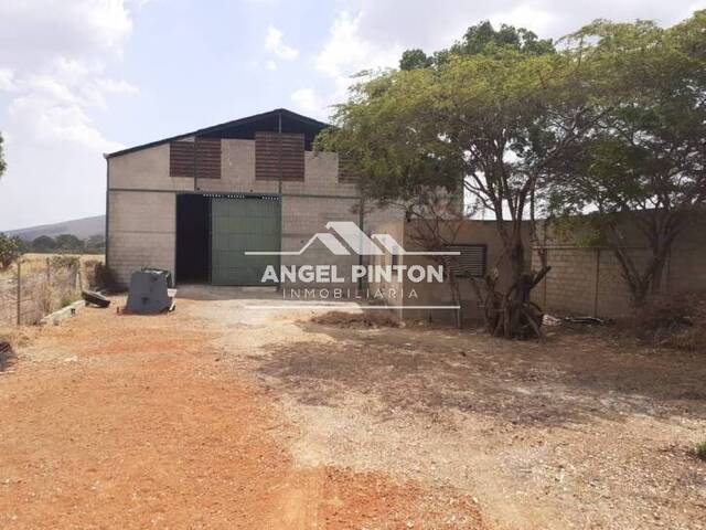 #307 - TERRENO para Venta en Barquisimeto - K - 2