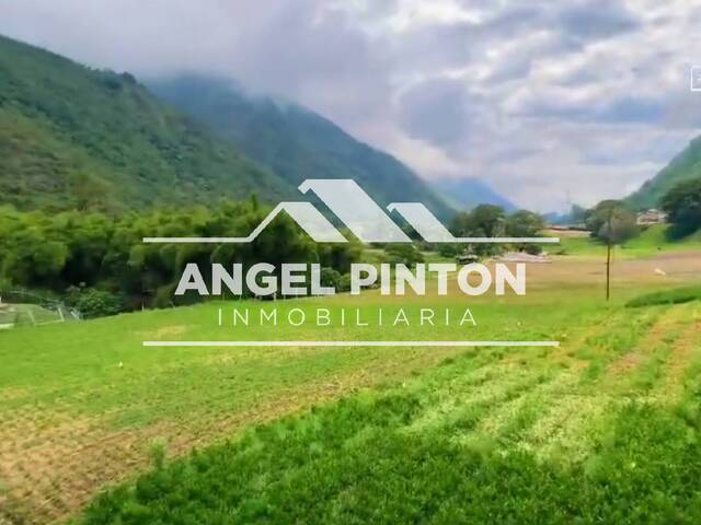 #99601 - HOTEL para Venta en La Puerta - T - 2