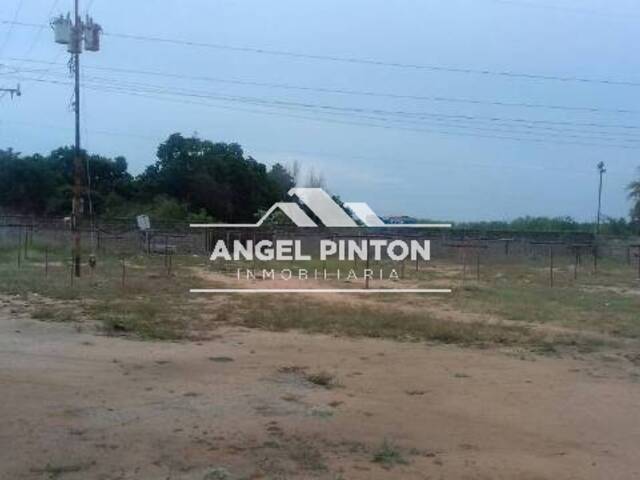 GALPÓN / BODEGA para Venta en Maracaibo - 5
