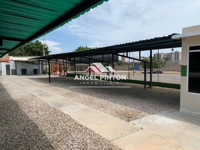 #487 - LOCAL COMERCIAL para Venta en Maracaibo - V