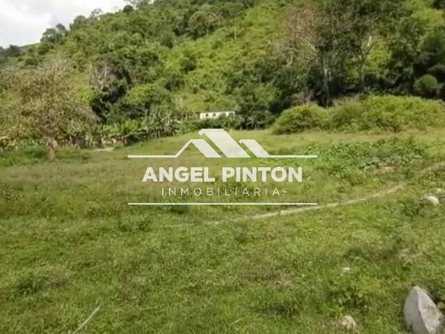 TERRENO para Venta en Valera - 5