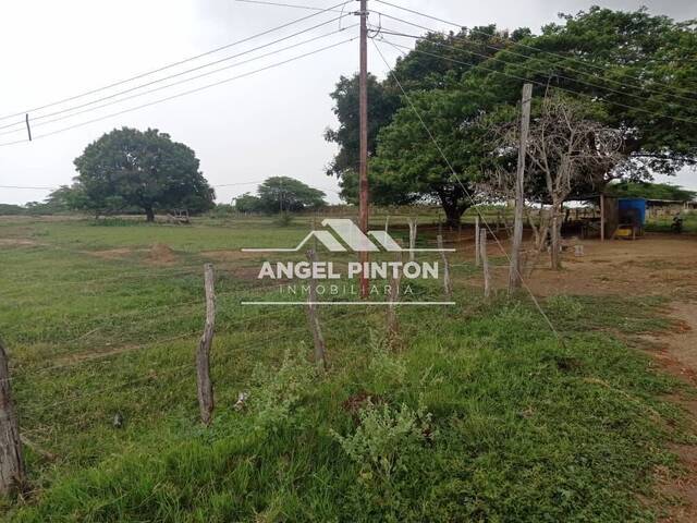 #3056 - GRANJA / FINCA para Venta en Los Puertos de Altagracia - V