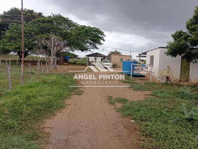 #3056 - GRANJA / FINCA para Venta en Los Puertos de Altagracia - V