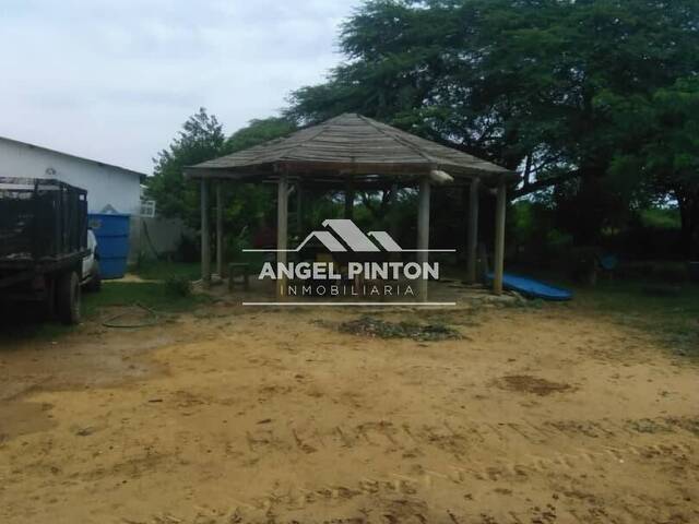 #3531 - GRANJA / FINCA para Venta en Los Puertos de Altagracia - V