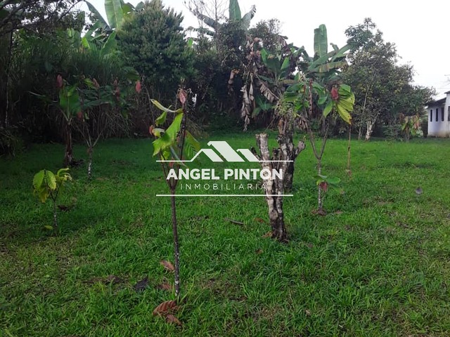 #3780 - TERRENO para Venta en Zea - L