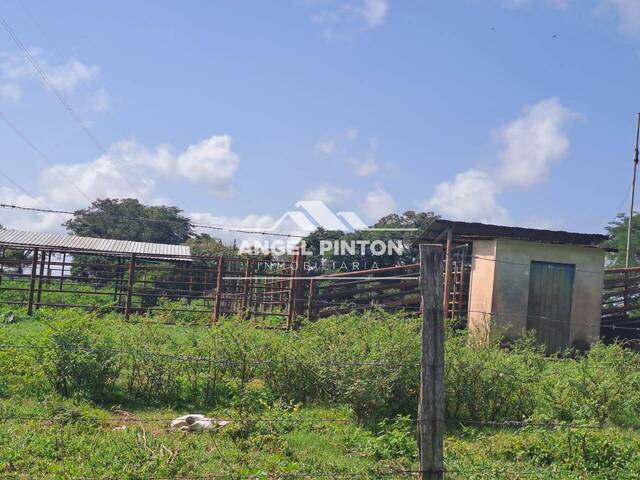 #4530 - GRANJA / FINCA para Venta en Cabimas - V - 2