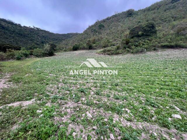 GRANJA / FINCA para Venta en La Puerta - 5