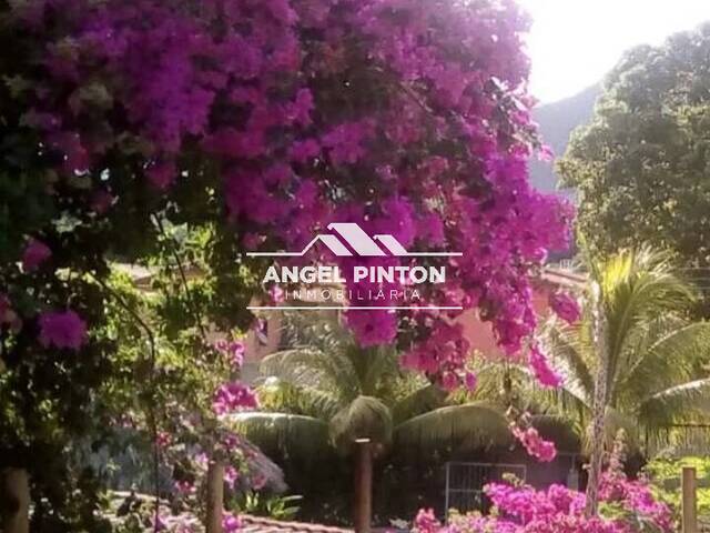 #9777 - POSADA para Venta en Maracay - D - 3
