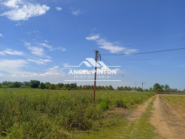 #4984 - GRANJA / FINCA para Venta en Maracaibo - V - 3