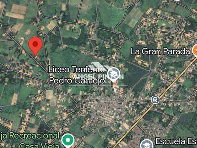 TERRENO para Venta en Maracaibo - 4