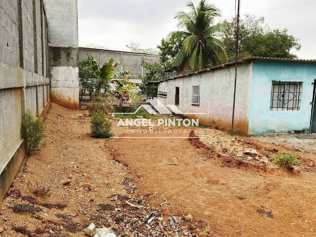 TERRENO para Venta en Acarigua - 4