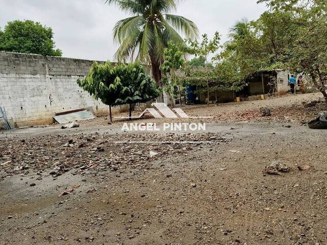 TERRENO para Venta en Acarigua - 5