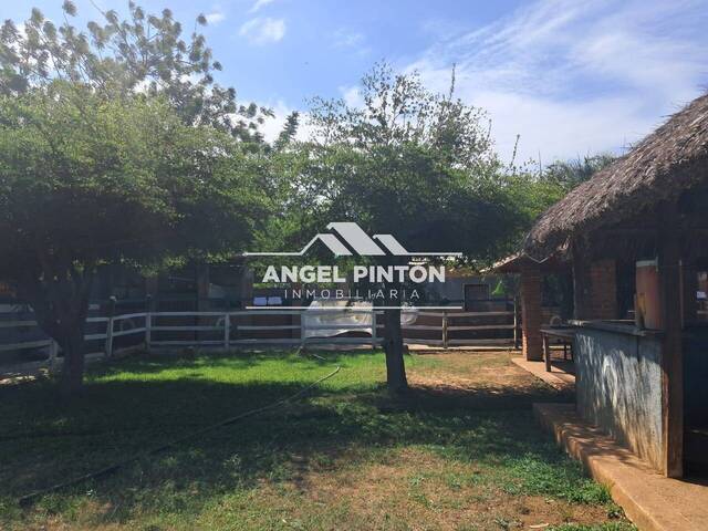 GRANJA / FINCA para Venta en Maracaibo - 5