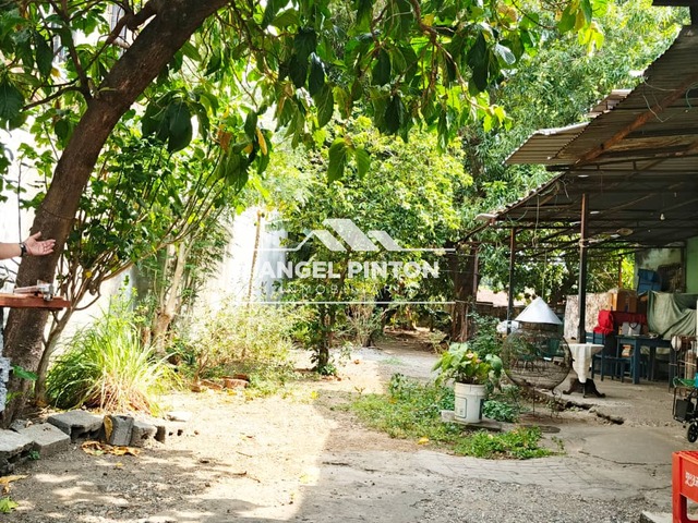TERRENO para Venta en Acarigua - 5